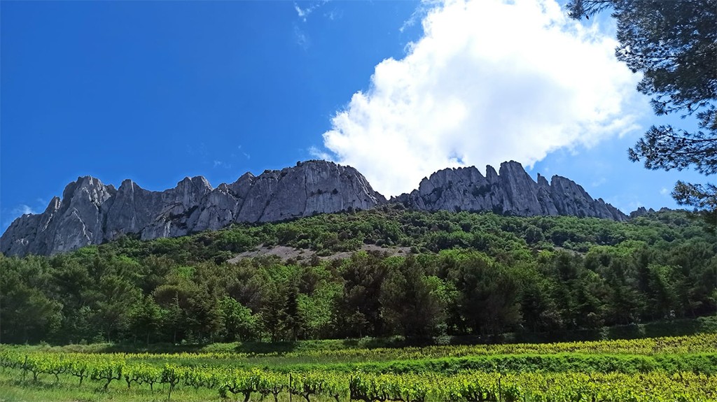 Image1 dentelles